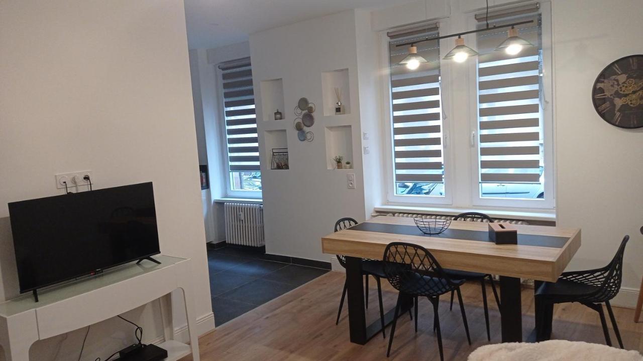 Apartment 3p Rdc Orangerie- Parlement Europeen Strasbourg