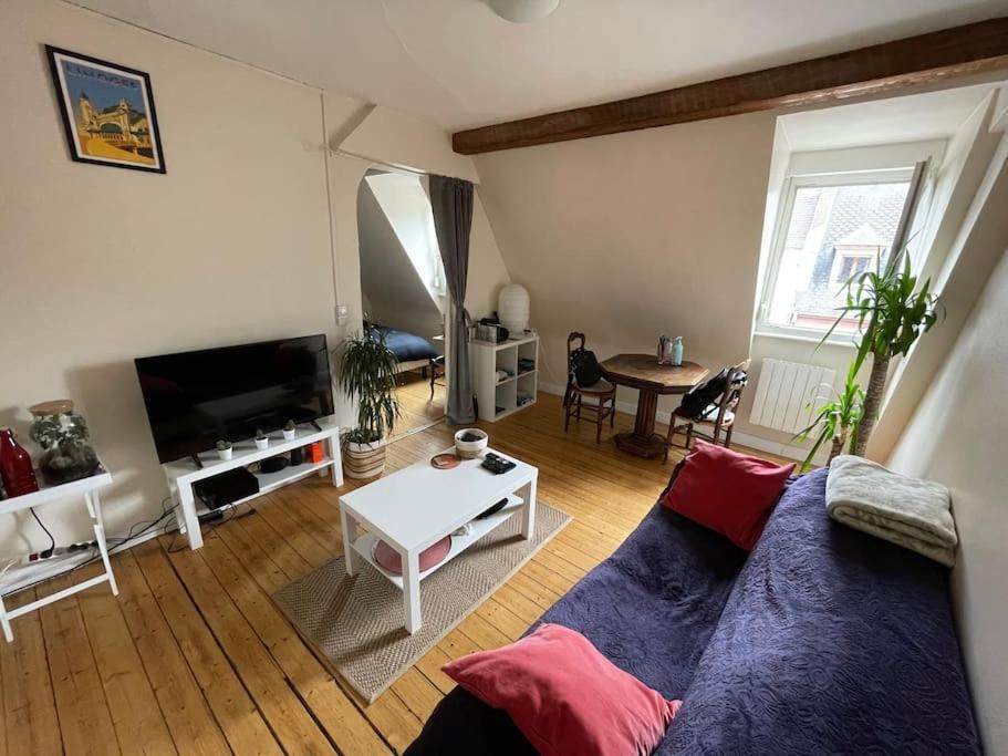 Apartment Joli 2 Pieces - Krutenau Austerlitz *
