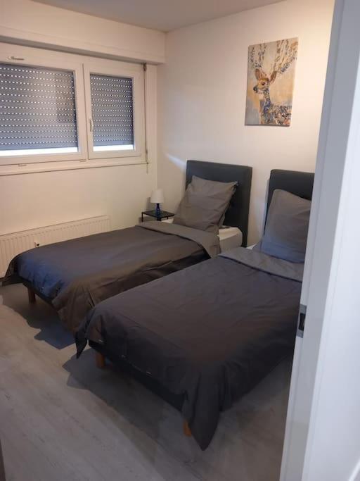 Daire Super 6 Pers Centre-ville Ideal Strazburg