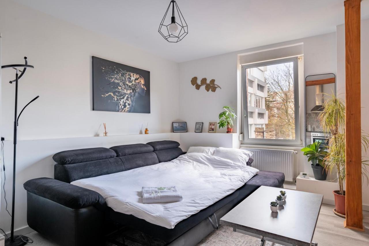 Apartament Proche Hyper-centre, Marche De Noel - Tram 5 Min Strasburg