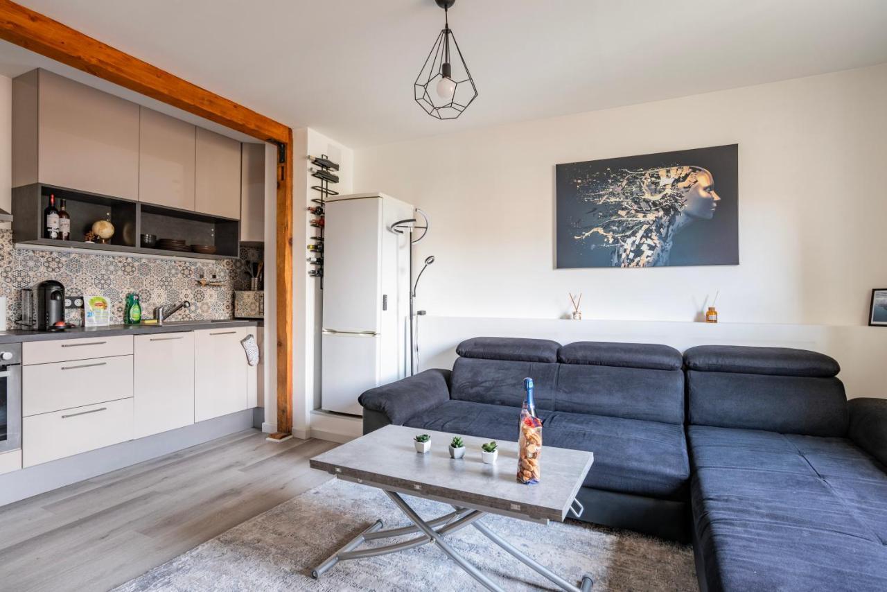 Apartment Proche Hyper-centre, Marche De Noel - Tram 5 Min Strasbourg