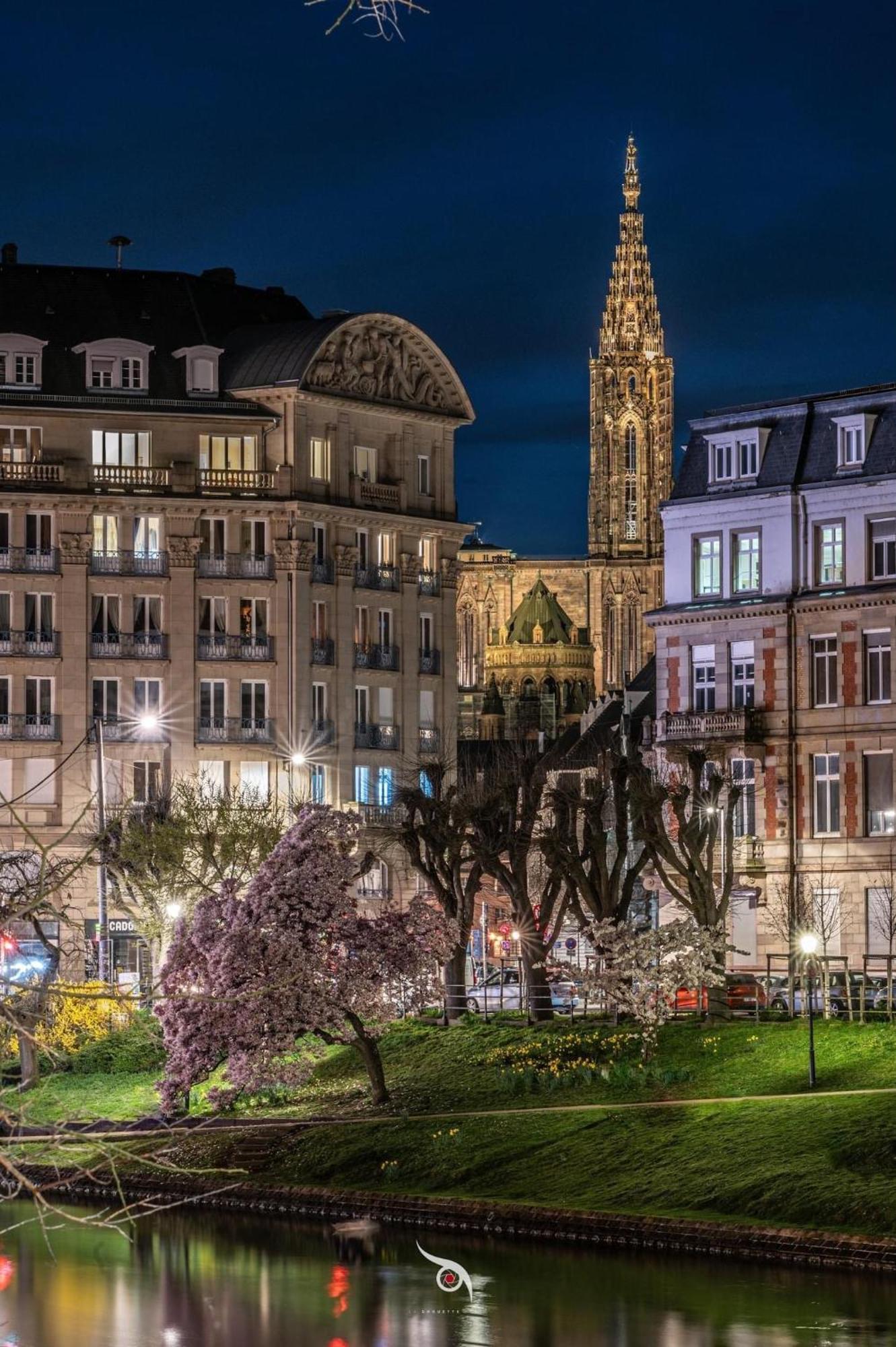 Appartement & Hyper Centre De - Proche Cathedrale & Petite France *