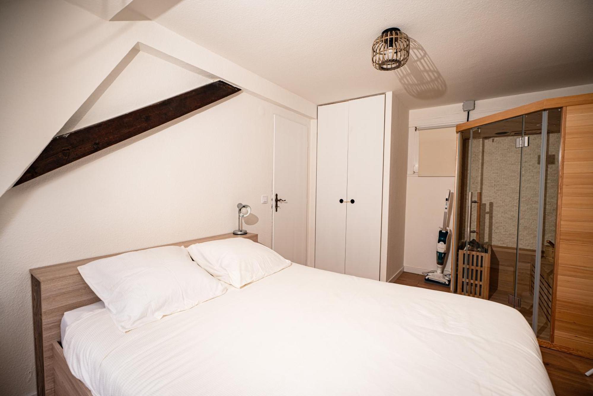 Daire Moderne T2 Centre Sauna Wifi Office Netflix Strazburg