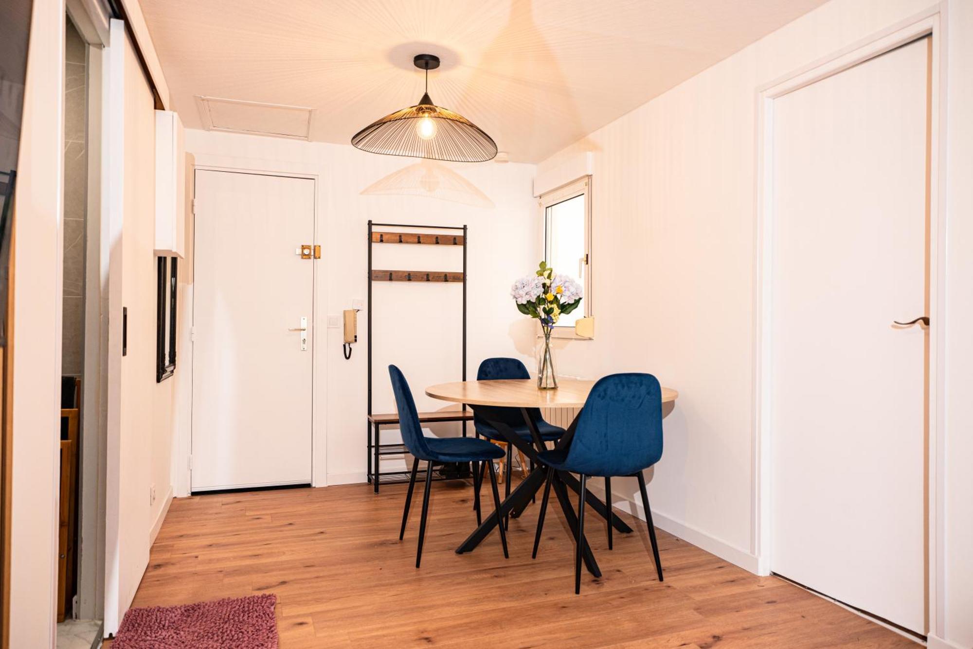 Moderne T2 Centre Sauna Wifi Office Netflix Daire Strazburg