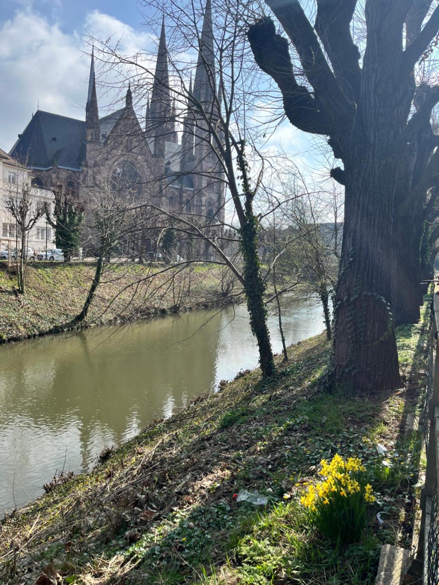 Apartment Le Petit Brooklyn Strasbourg