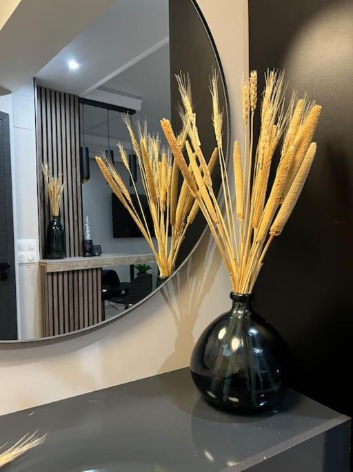 Appartement Luxueux Pres De La Cathedrale
