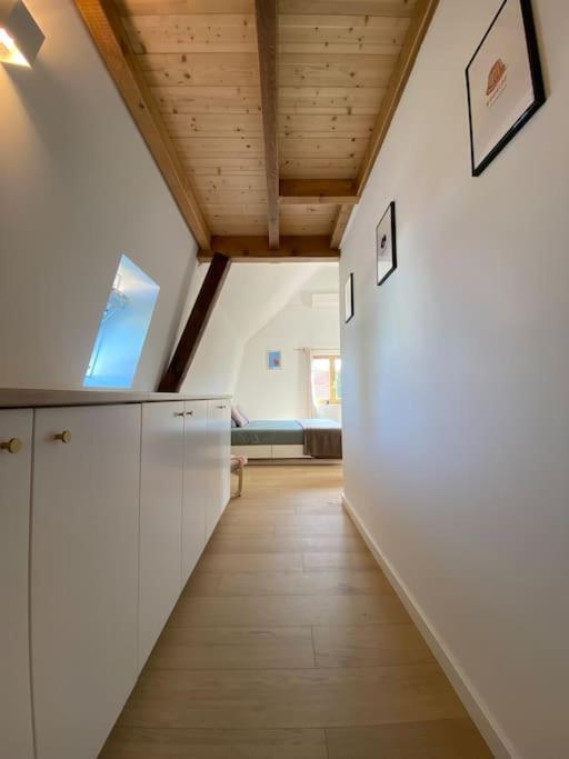 Maison De Charme De 1850 - - Neudorf Strasbourg