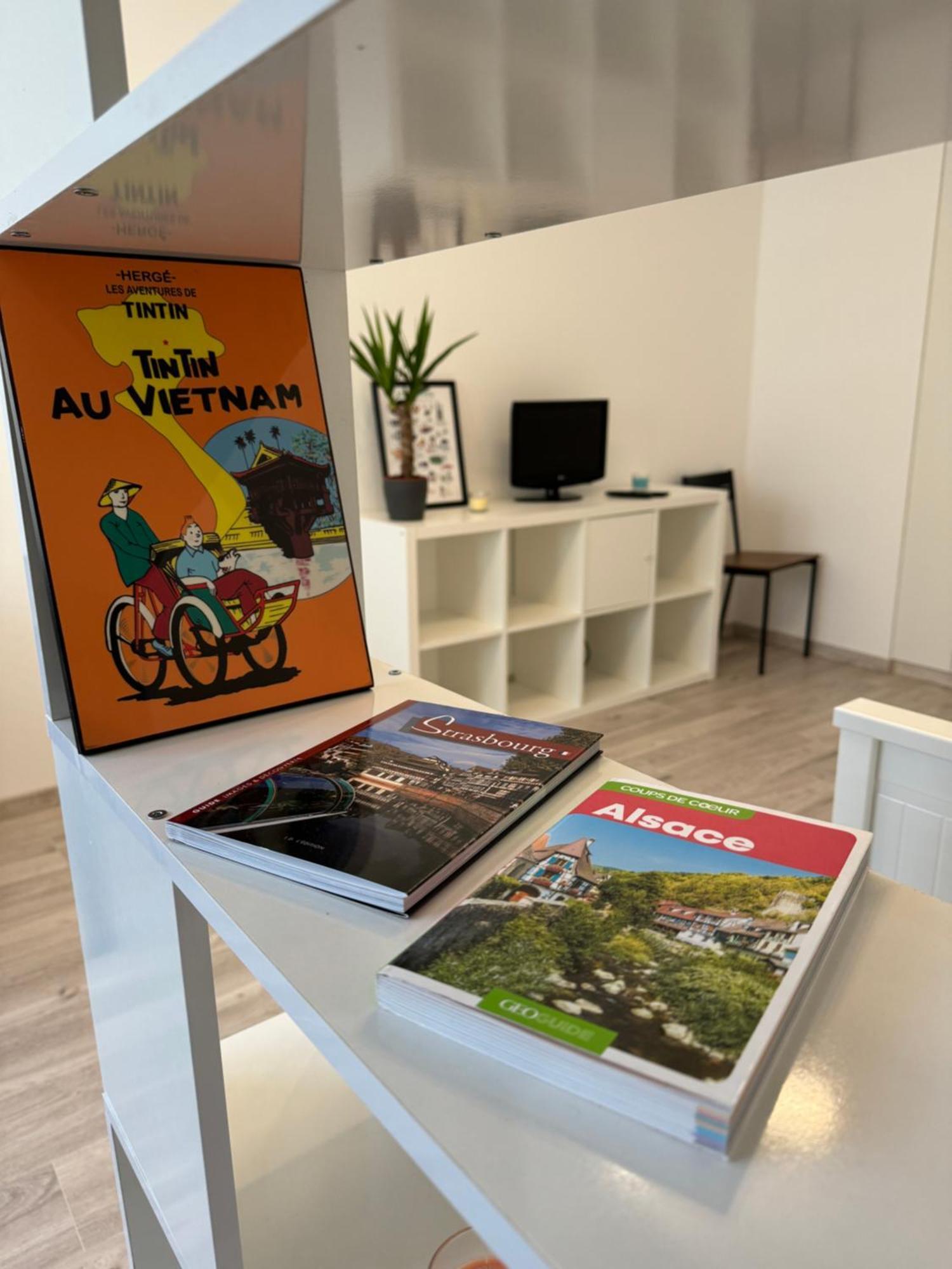 Calme A 15min Du Centre * Strasbourg