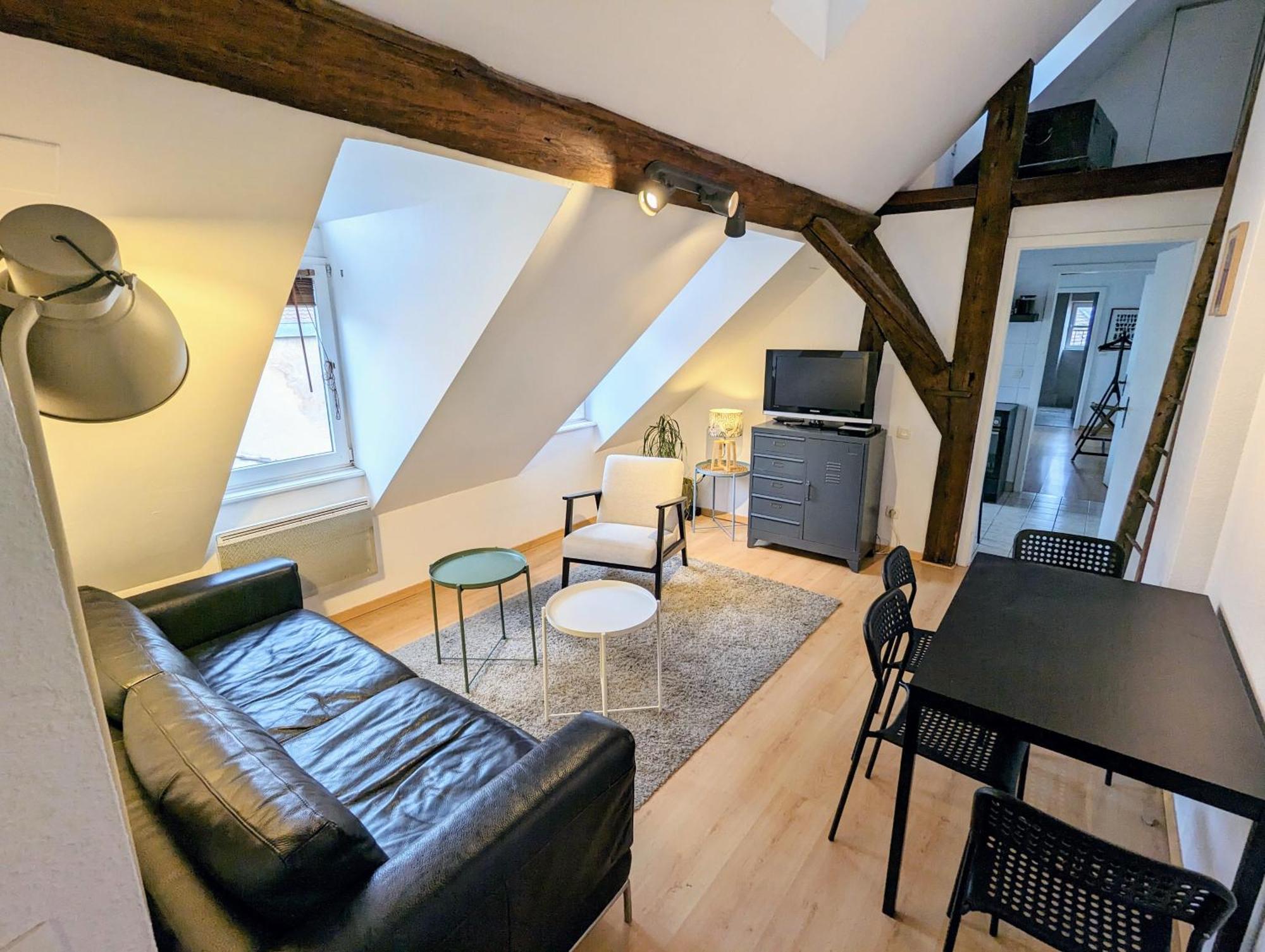 Des Serruriers Apartment *