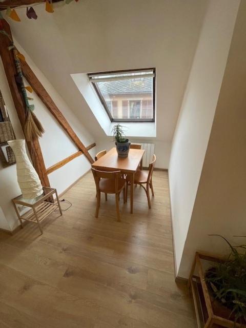 P55 3 Pieces Lumineux Et Calme Sur Les Toits Location Mobilite 1 Mois Minimum Apartment