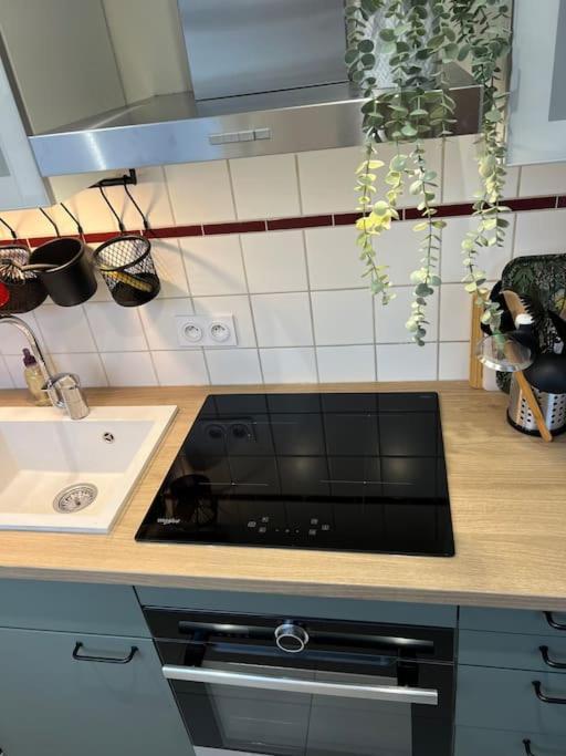 Appartement Adorable Neudorf Parking Sous Sol *