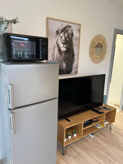 Adorable Neudorf Parking Sous Sol Appartement