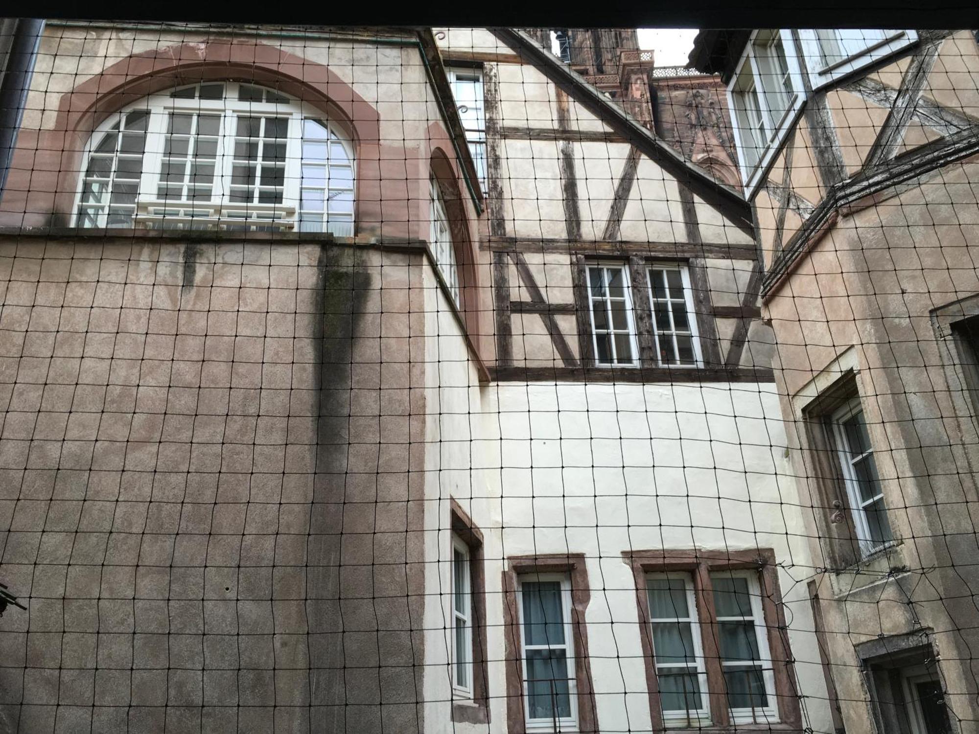 Cathedrale Straatsburg