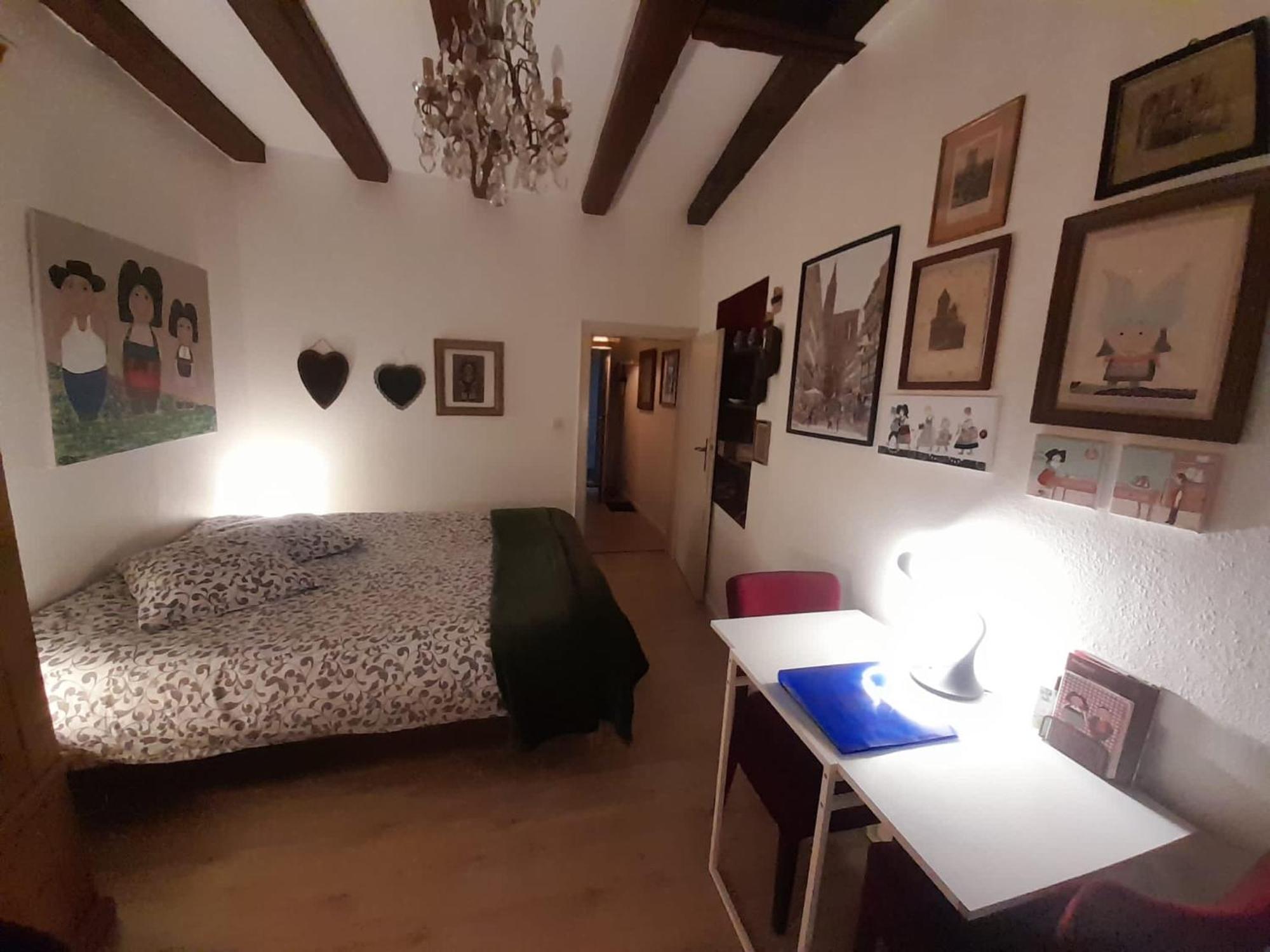 Appartement Cathedrale Straatsburg