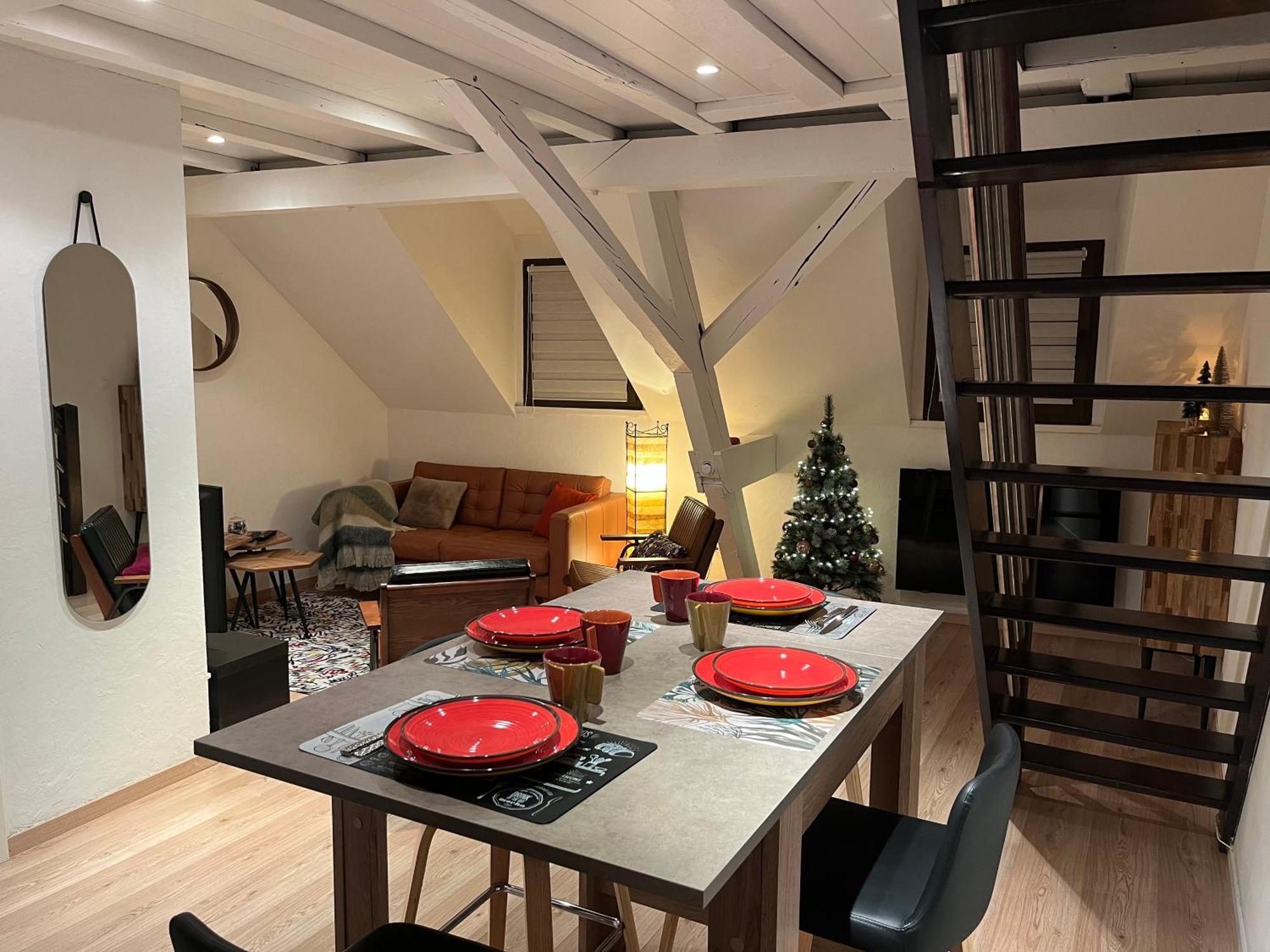 Duplex Privatise, Climatise, 2 Apartament Strasburg