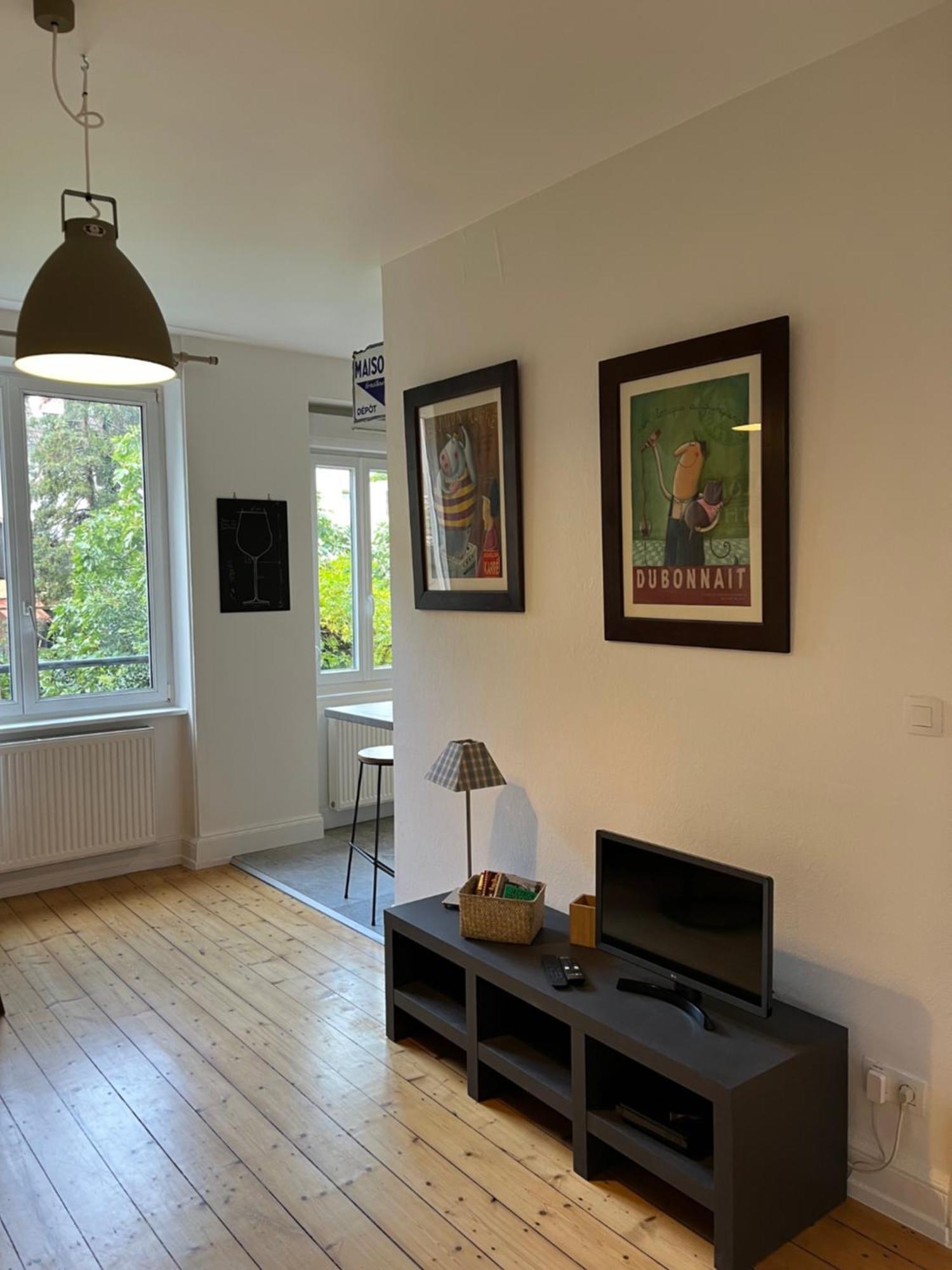 Apartment Les De La Limonaderie Straßburg