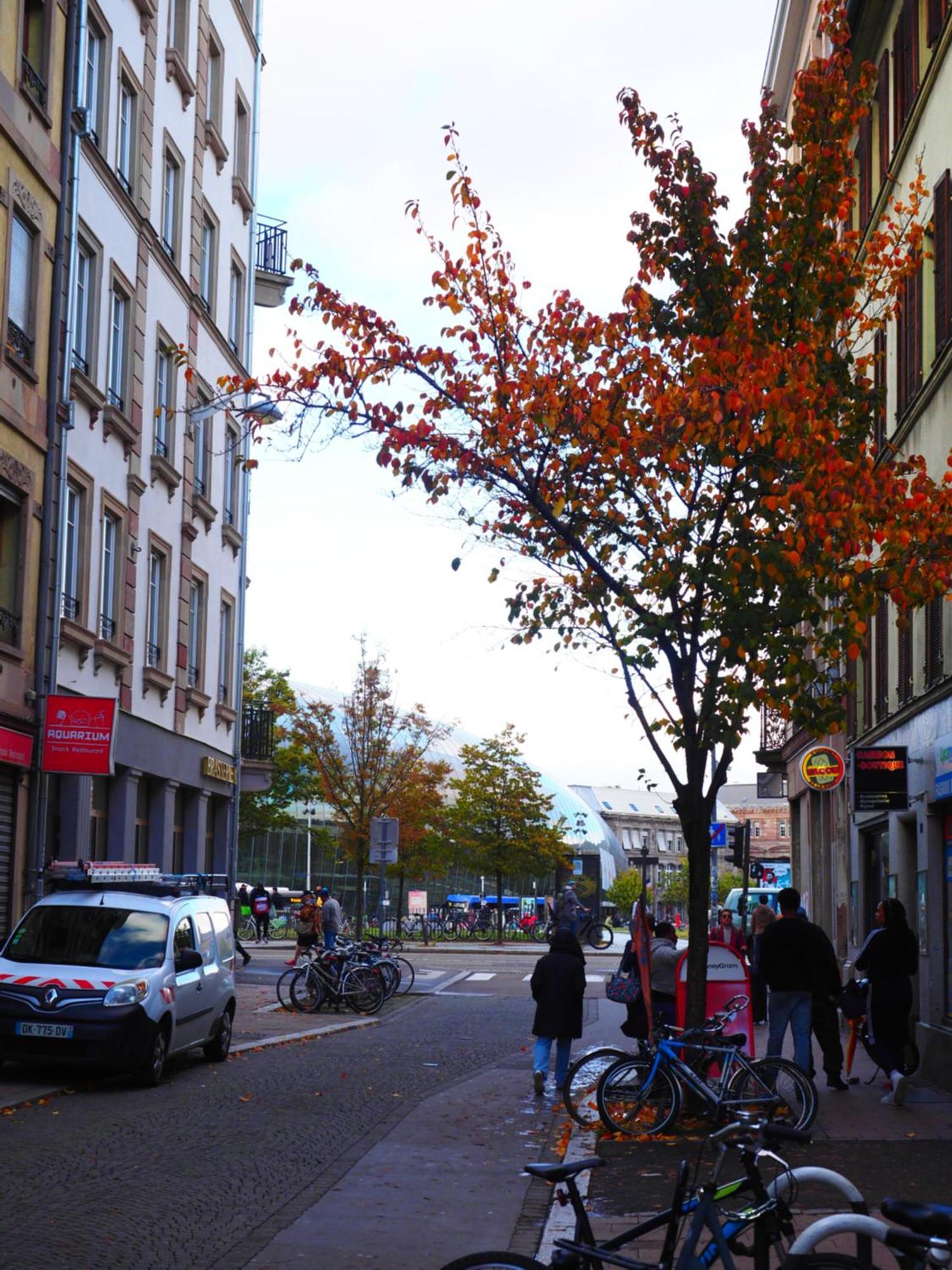 Stb2 Apartment Strasbourg