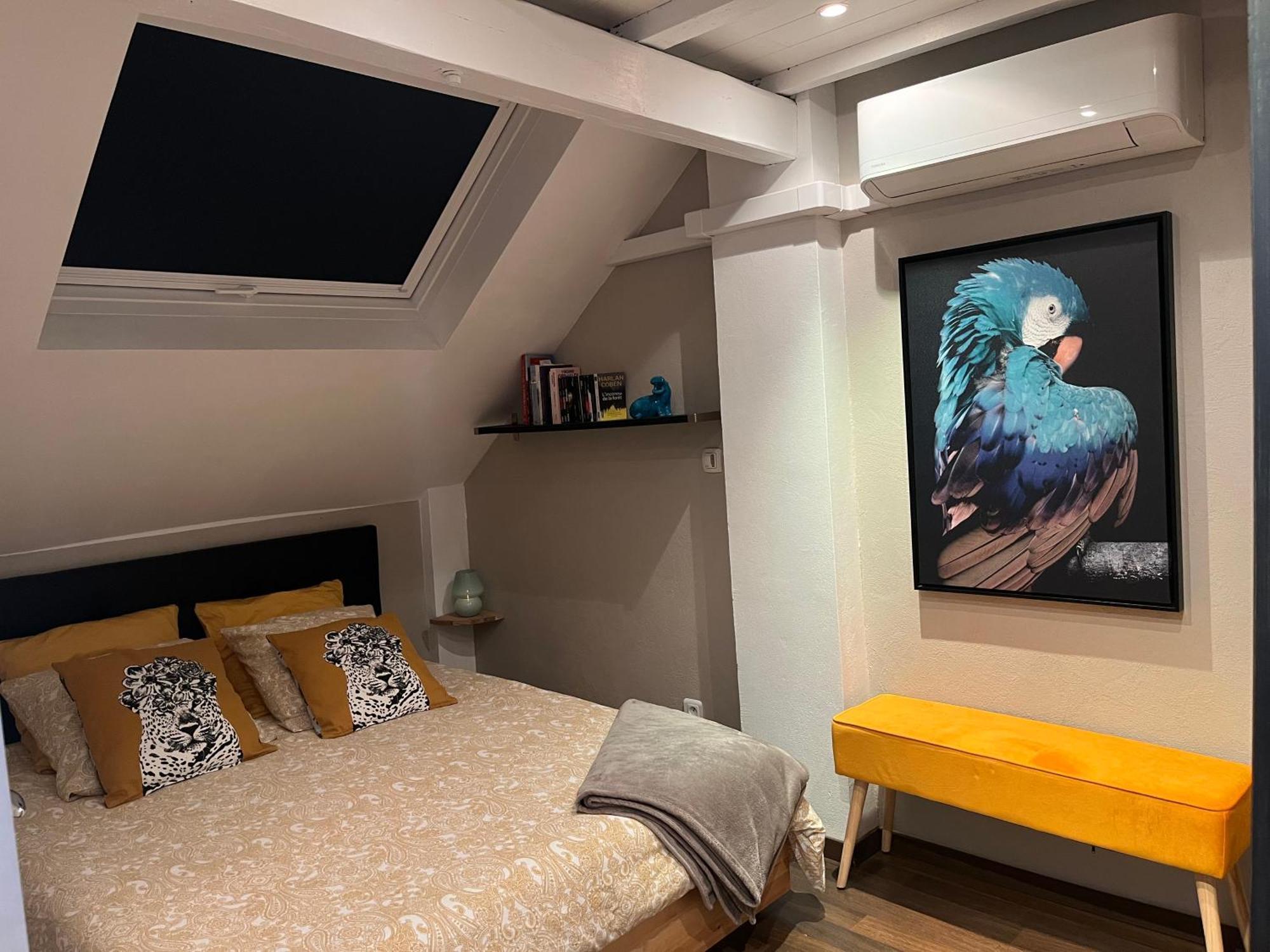 Duplex Privatise, Climatise, 2 Apartment Straßburg