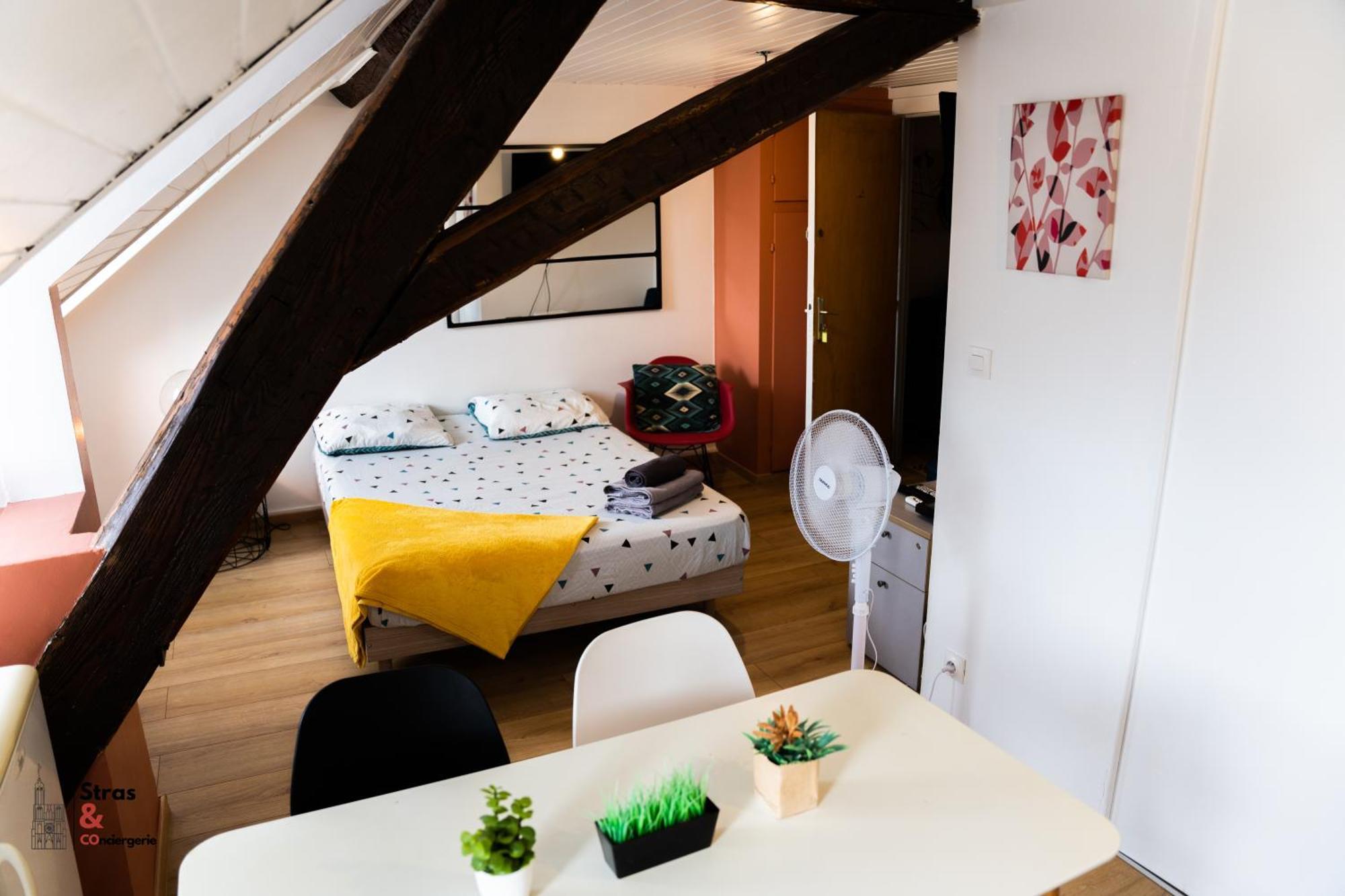 Appartement Lyam Straatsburg