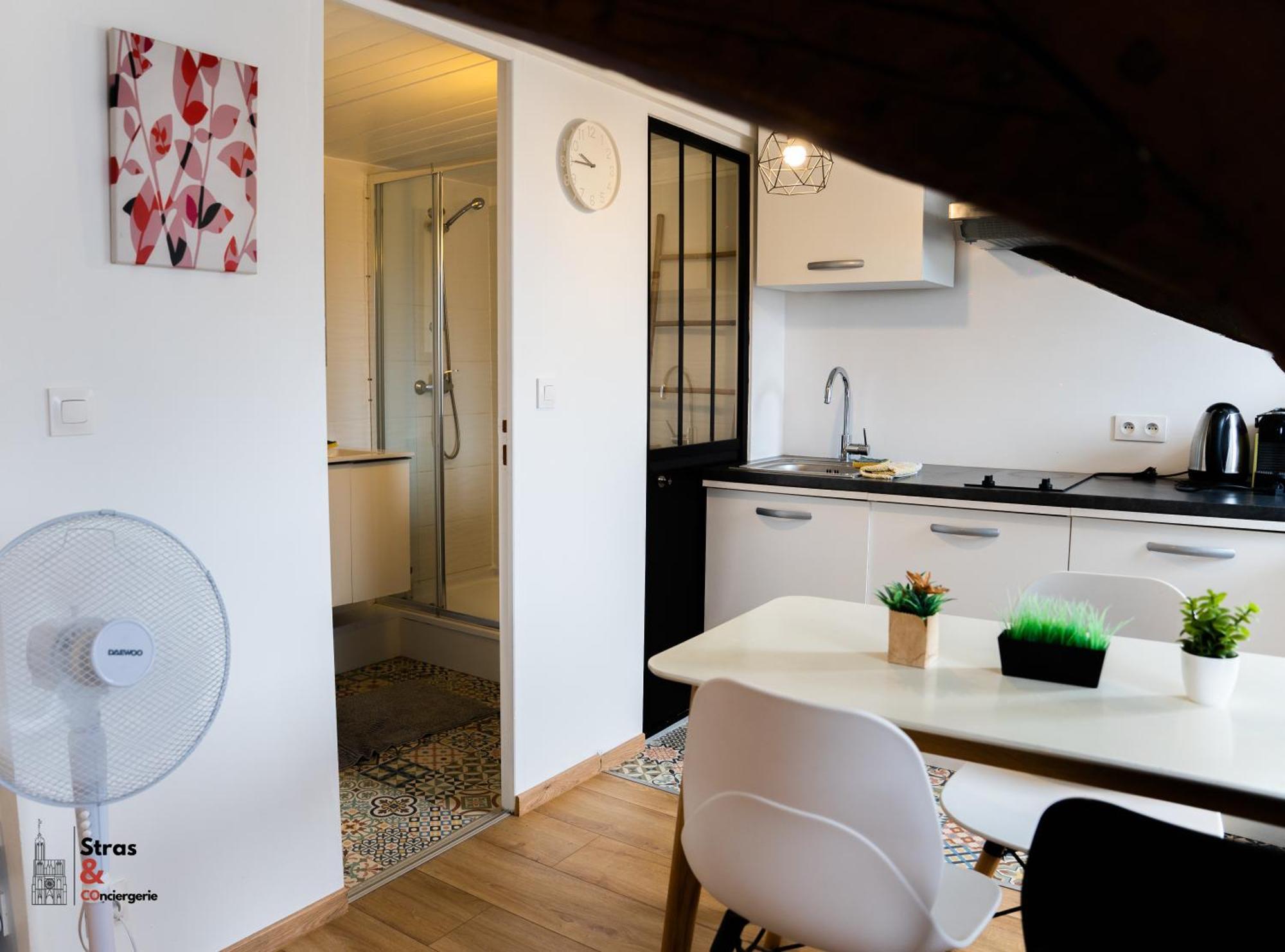 Lyam Appartement Straatsburg