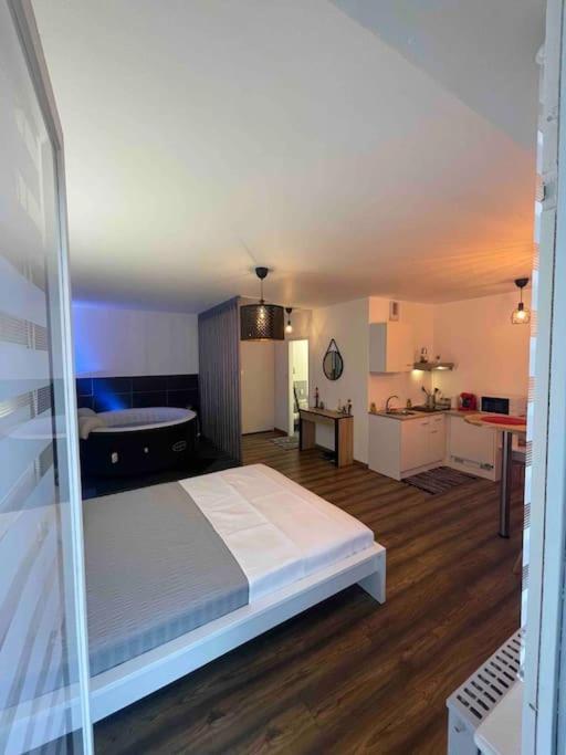 Grand Avec Jacuzzi Apartment Strasbourg