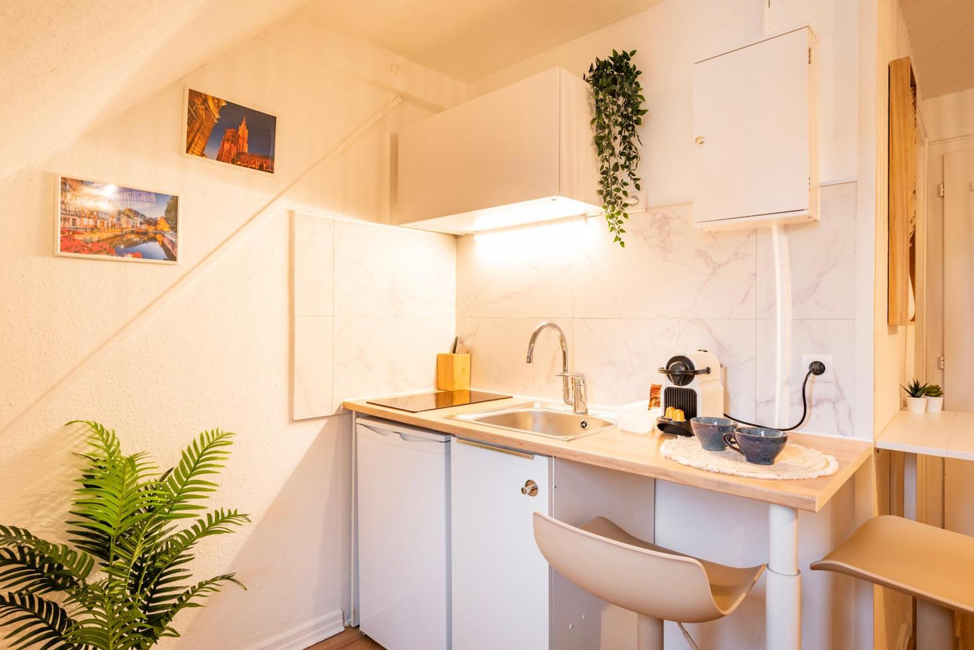 Chez Nolina - Duplex Avec Vues Cathedrale Et Quais * Straßburg