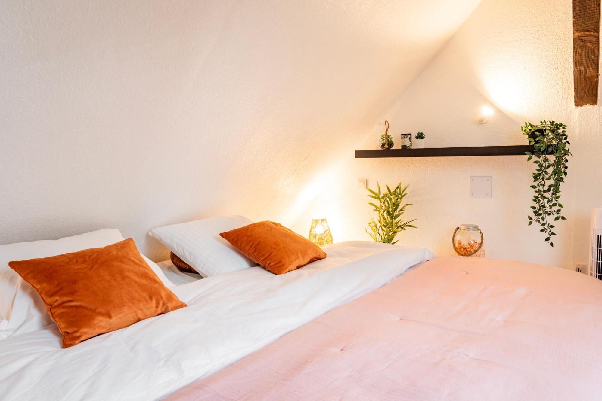 Chez Nolina - Duplex Avec Vues Cathedrale Et Quais Apartment Strasbourg