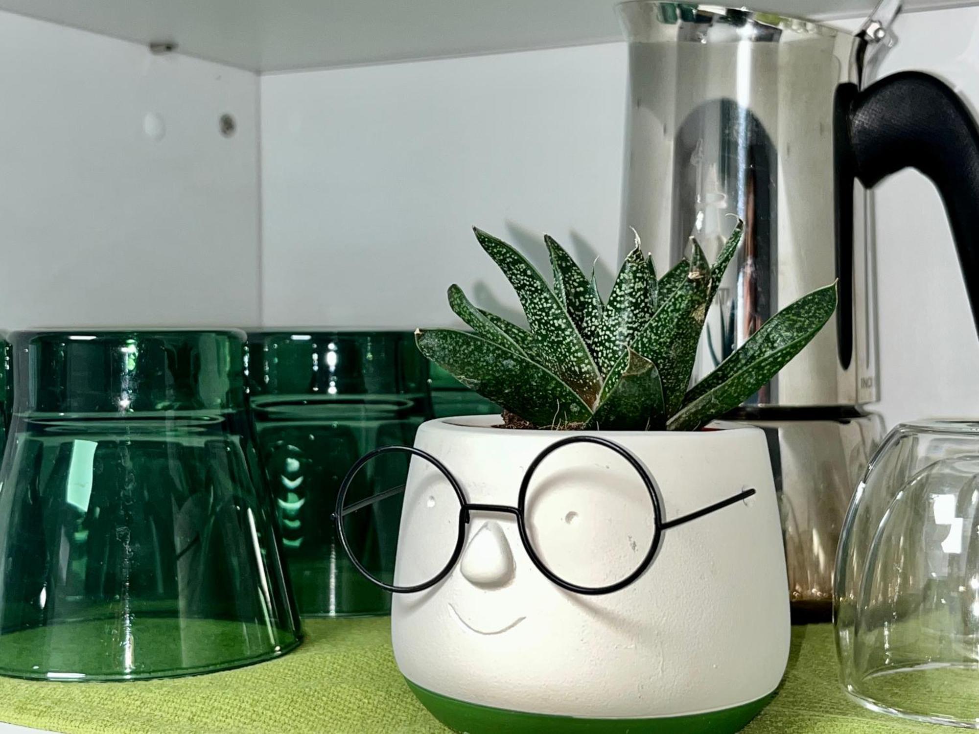 Chez Samuel 3 Pieces Au Coeur De La Krutenau Apartamento