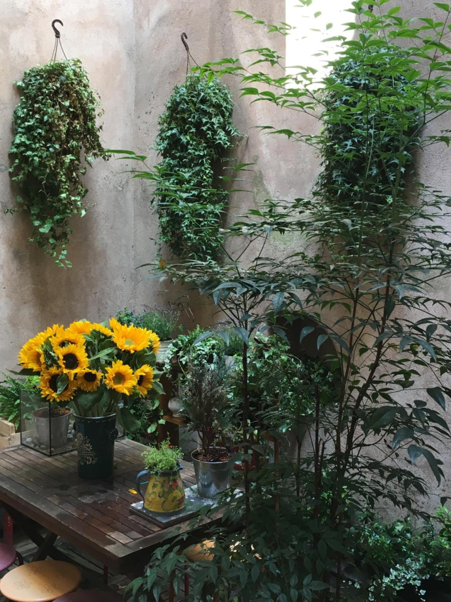 Apartment Triplex Avec Terrasse, Aux Pieds De La Cathedrale, 5 Personnes *