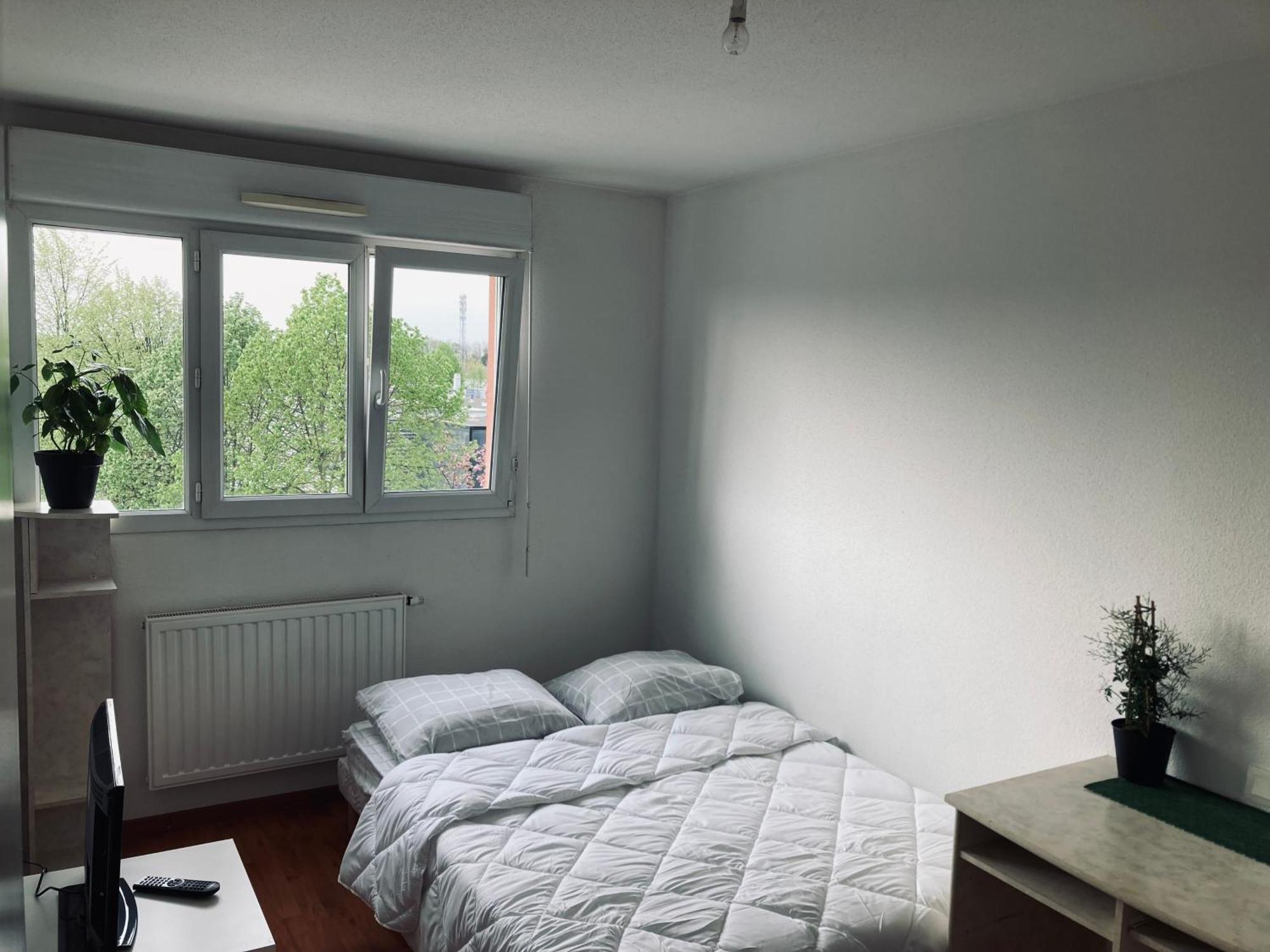 Apartment T3 Zenith