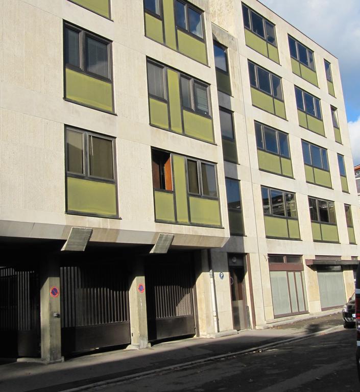Central Sunny Spacious Apartment Strasbourg