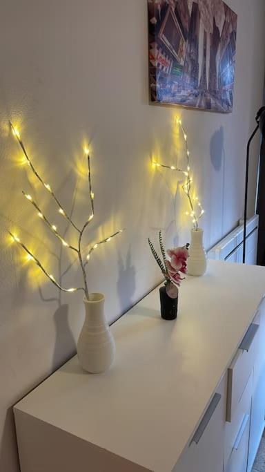 Appartement Le Spacieux Proche Centre