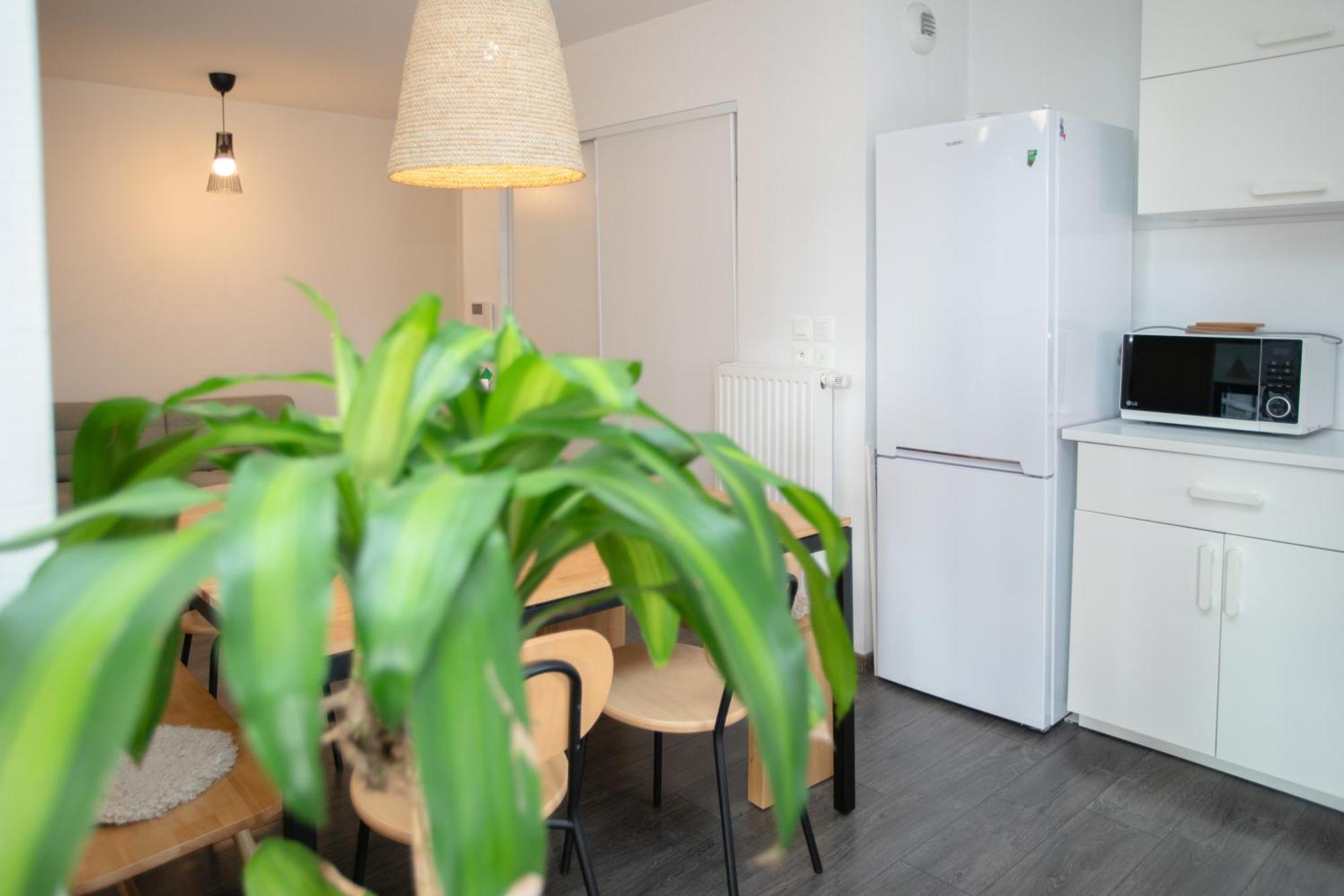Apartament Moderne Au Centre Strasburg