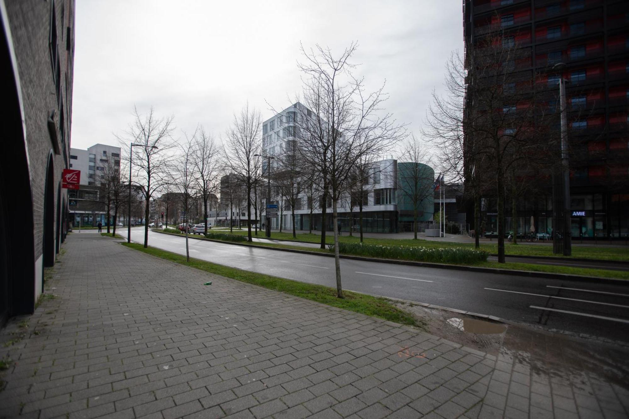 Apartament Moderne Au Centre *