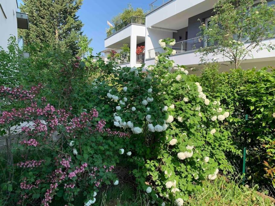 Robertsau, Jardin En