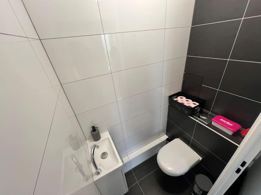 Cerf Berr Appartement Strasbourg