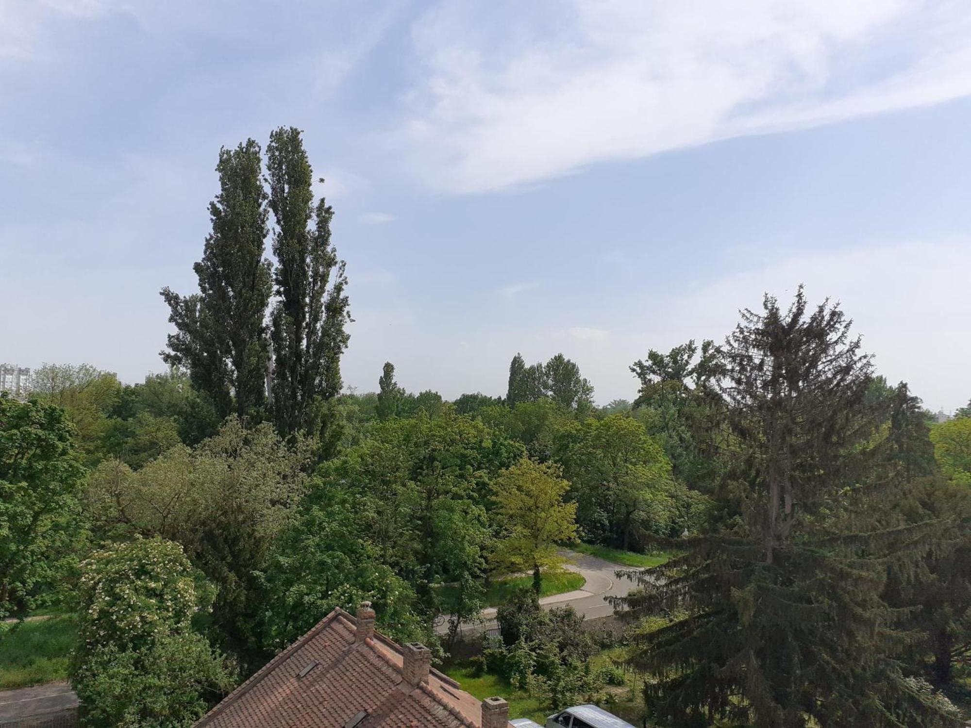 Sur Les Bords De L'ill Appartement Straatsburg