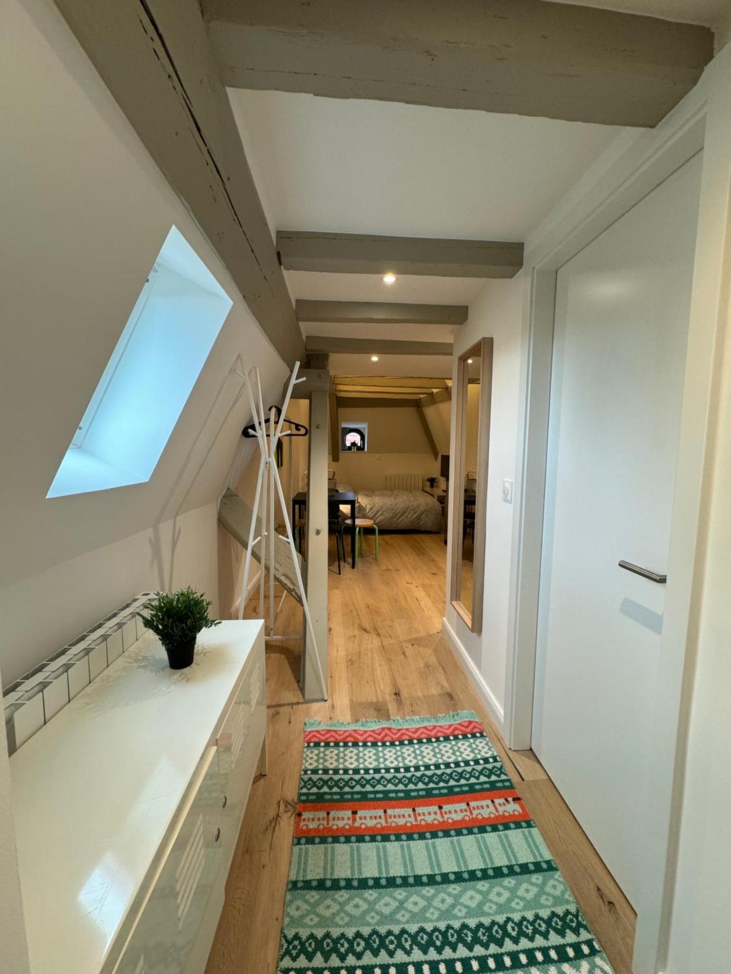 Apartment Le Salzmann Strasbourg