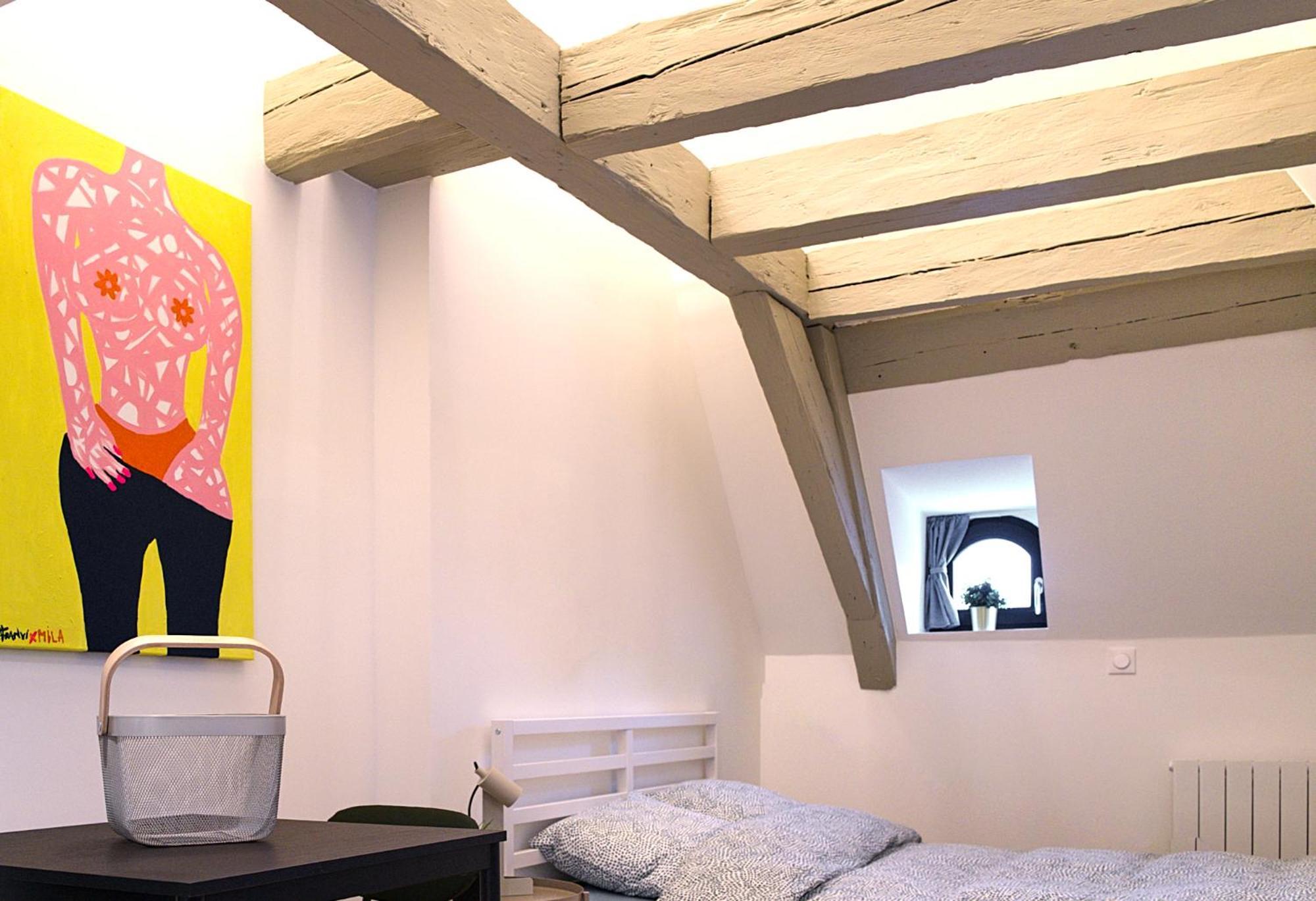 Le Salzmann Apartment Strasbourg