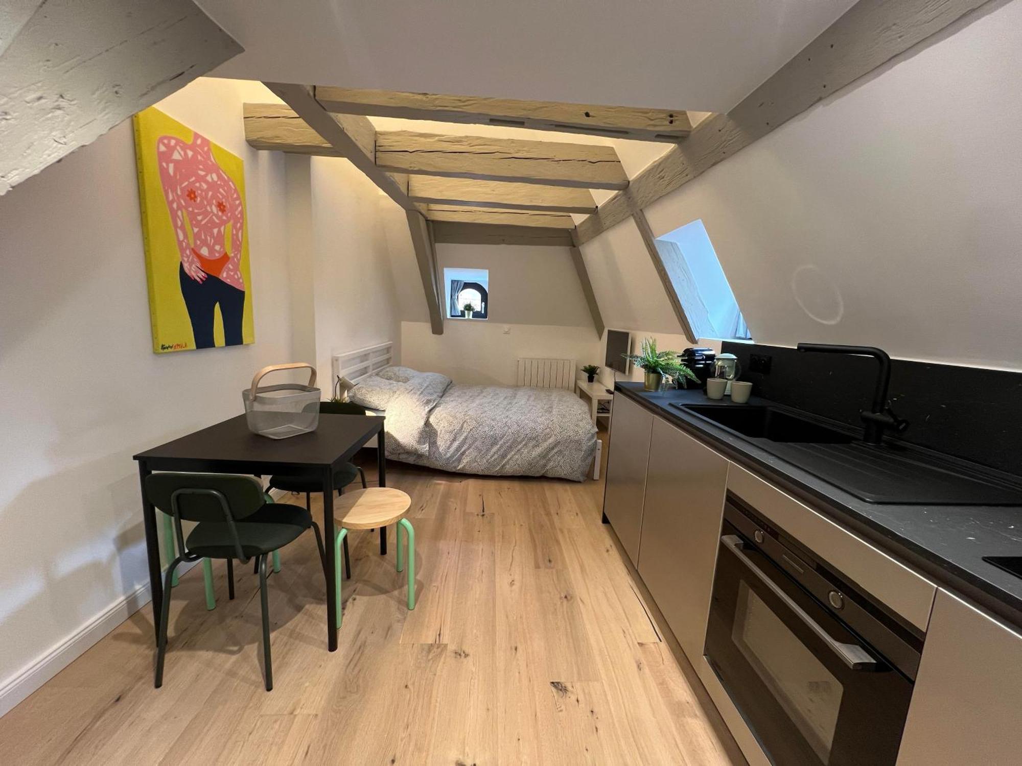 Le Salzmann Apartment *