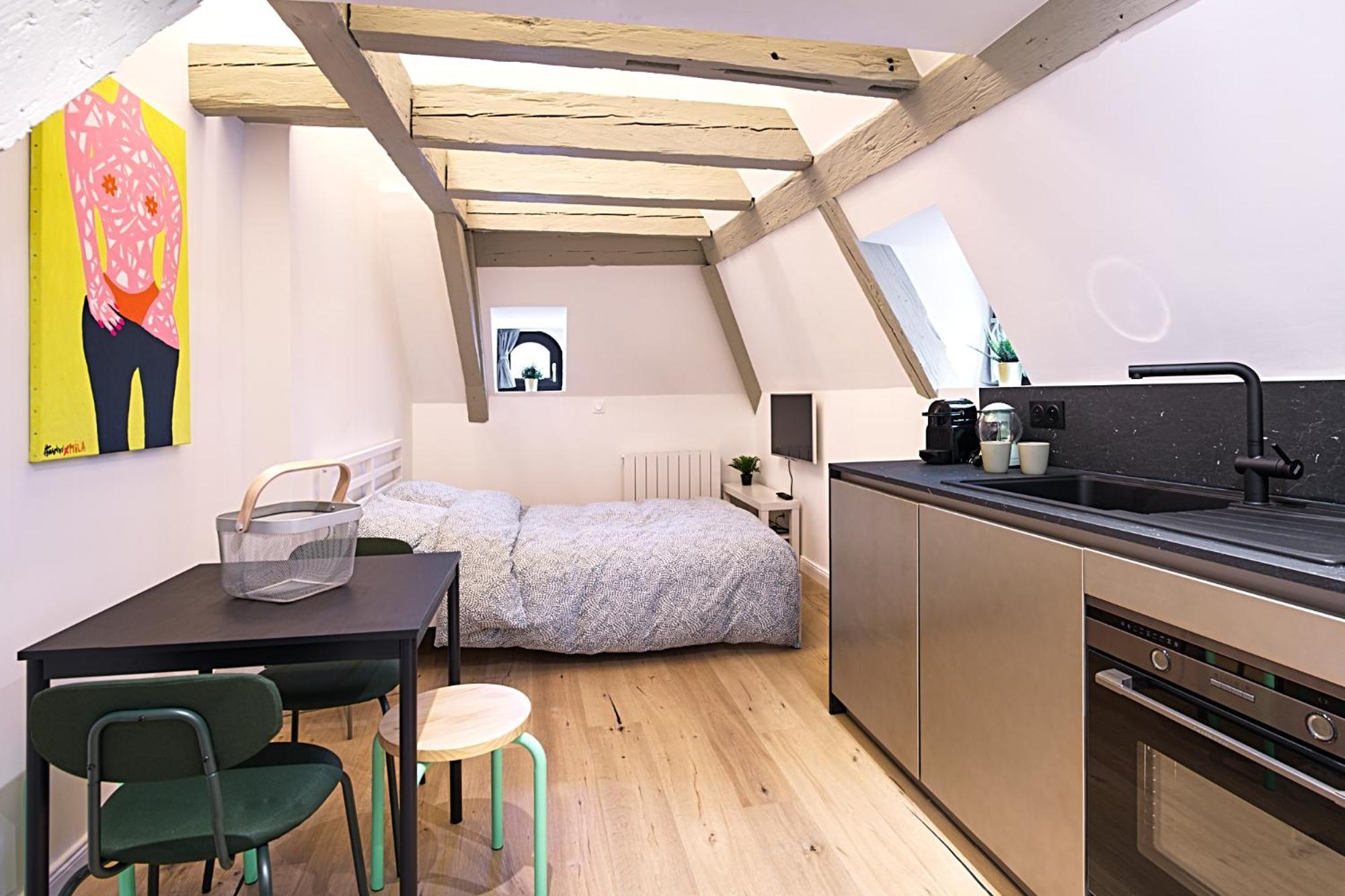 Le Salzmann Apartment Strasbourg