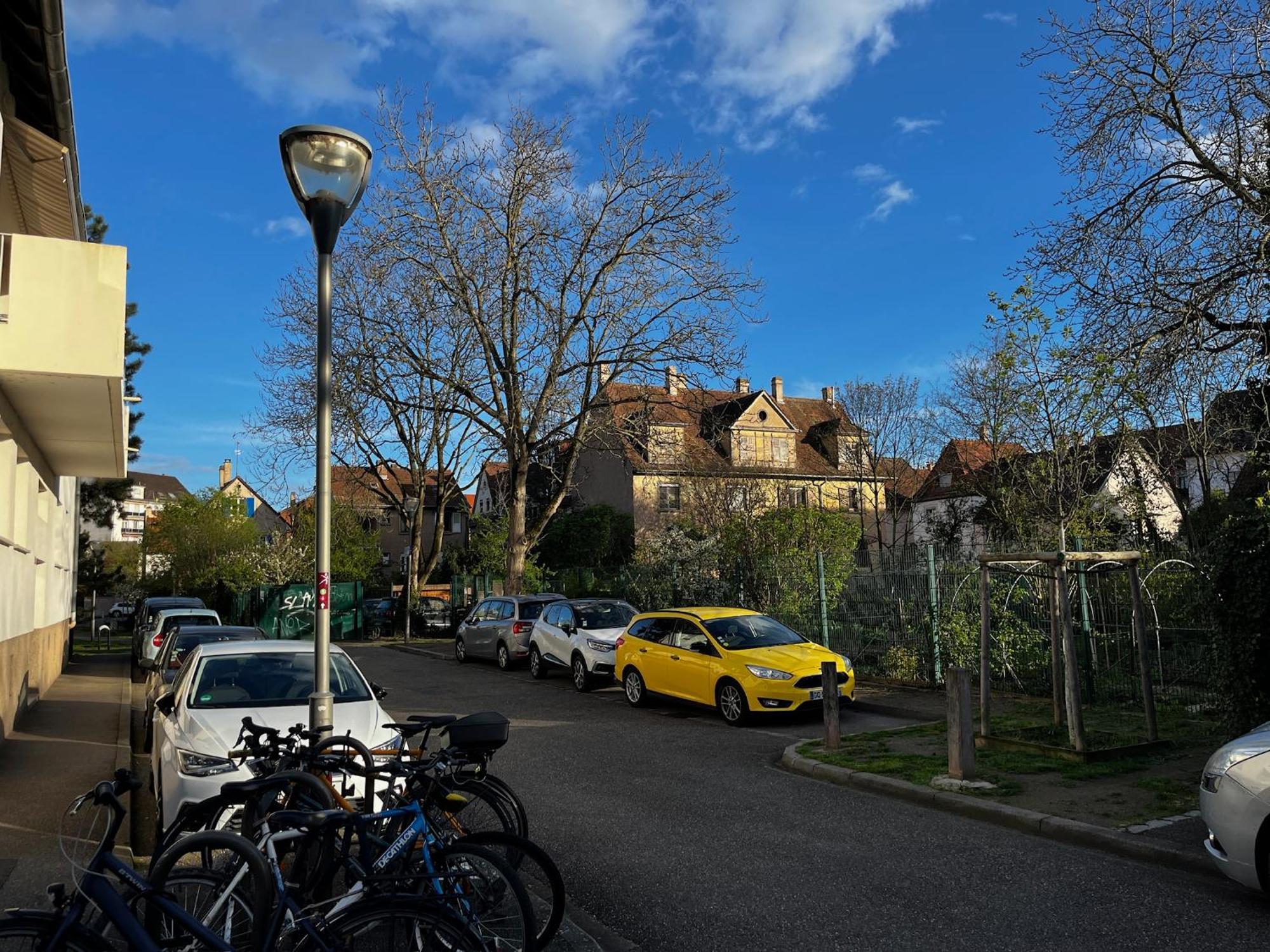 Les Alisiers - 3 Pieces - Climatise Strasbourg