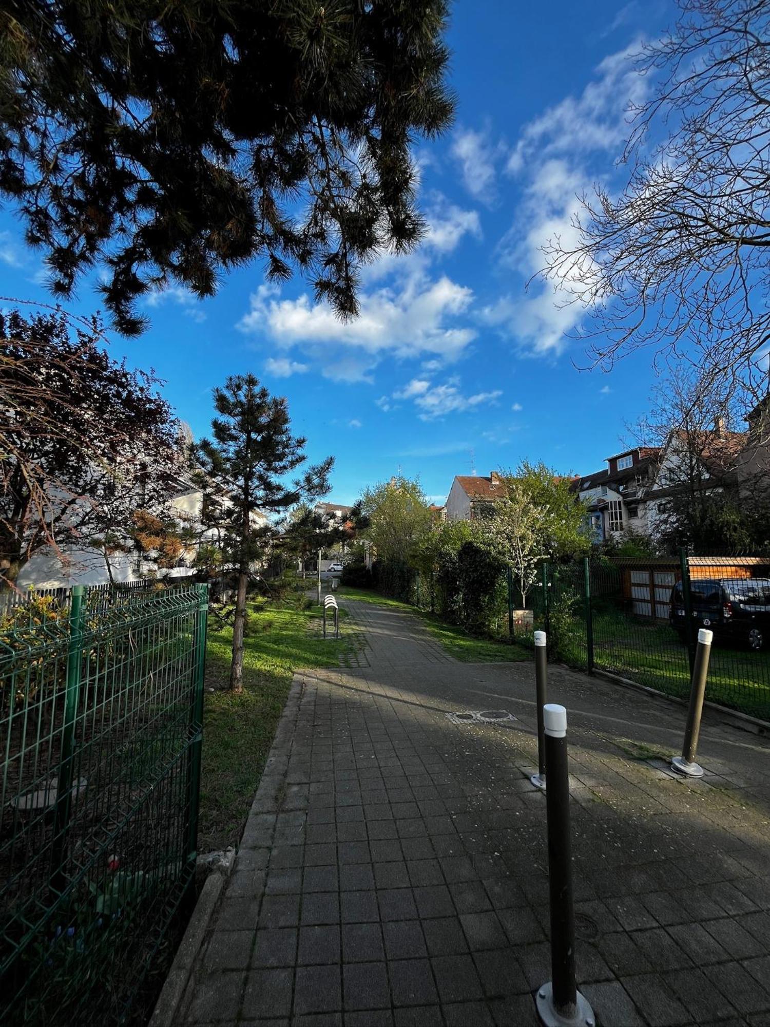 Les Alisiers - 3 Pieces - Climatise Strasbourg
