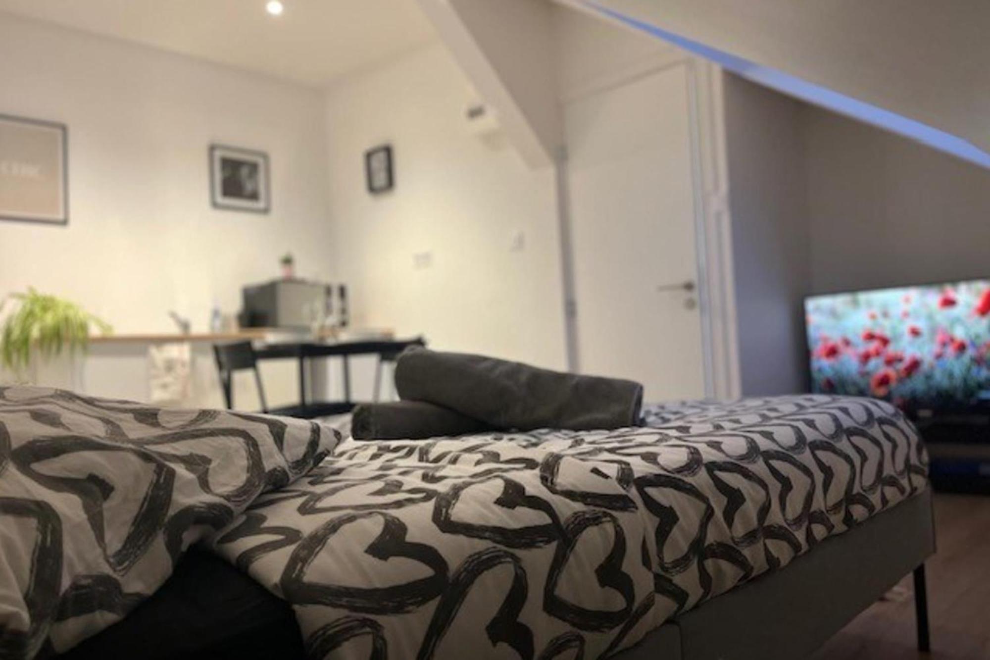 Cosy Rent Studio 3 -gare - Tv - Wifi Strasbourg