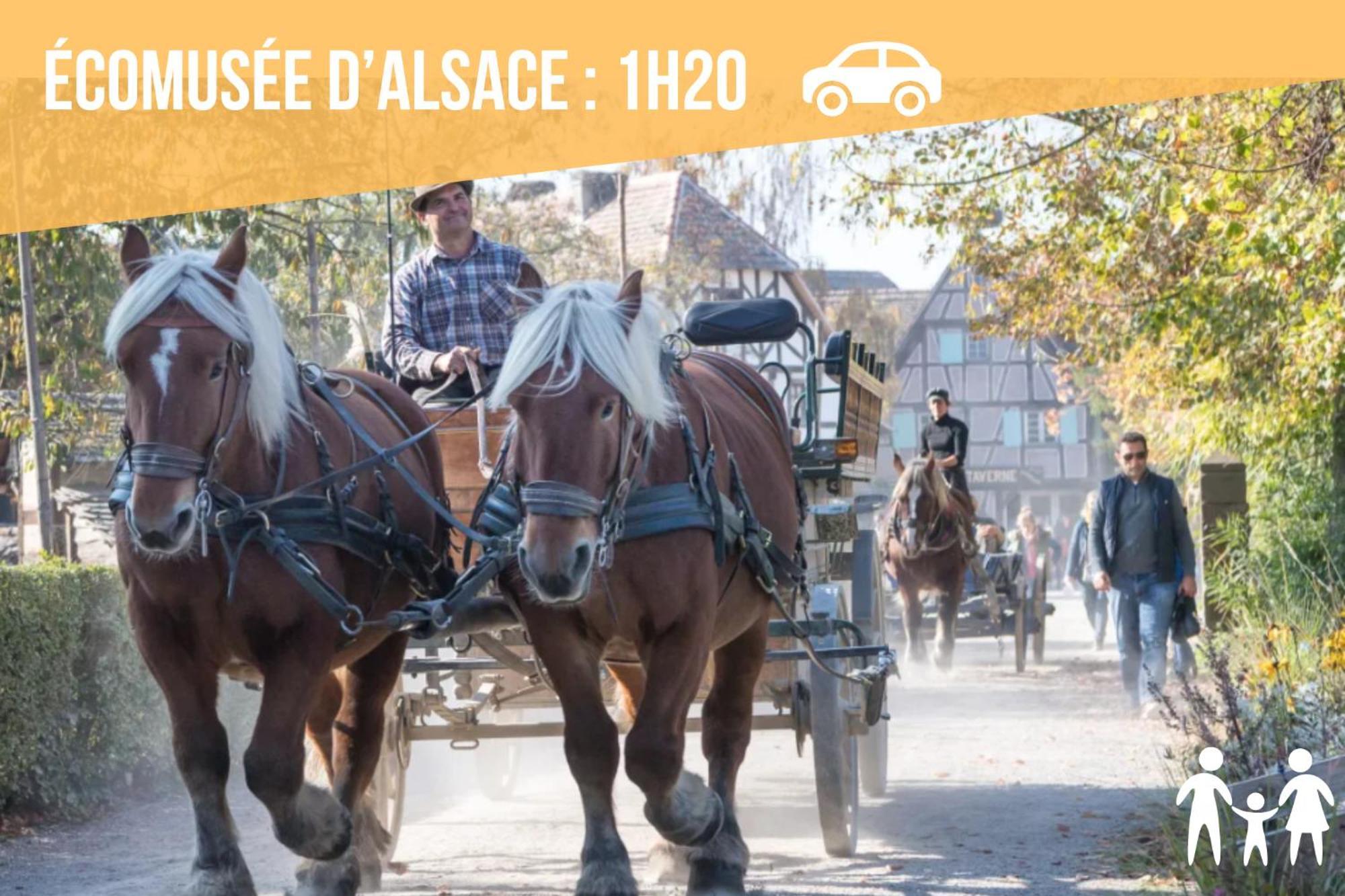 Lit Rond Tres Grand Et Confortable - Garage Possible Ou Parking Gratuit Rue - Gare 2 Min Et 4 Min En Tram - Ciel Etoile - Netflix Videoprojecteur - Luxe Et Evasion