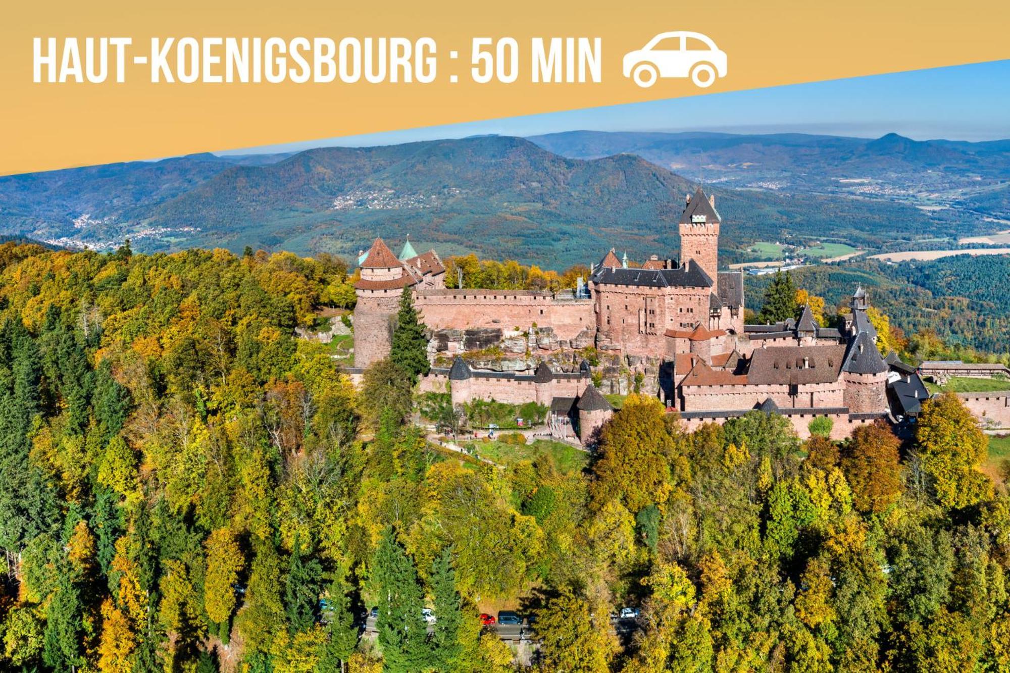 Lit Rond Tres Grand Et Confortable - Garage Possible Ou Parking Gratuit Rue - Gare 2 Min Et 4 Min En Tram - Ciel Etoile - Netflix Videoprojecteur - Luxe Et Evasion Appartement Straatsburg