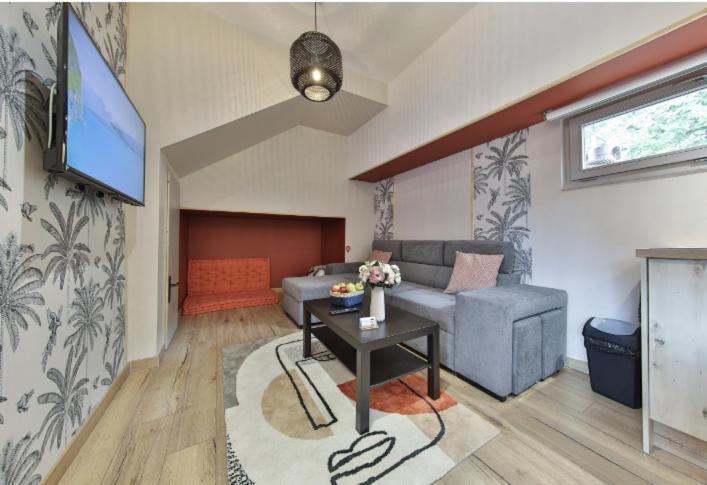 La Peniche De Fabrice Avec Jacuzzi Privatif Apartment Strasbourg