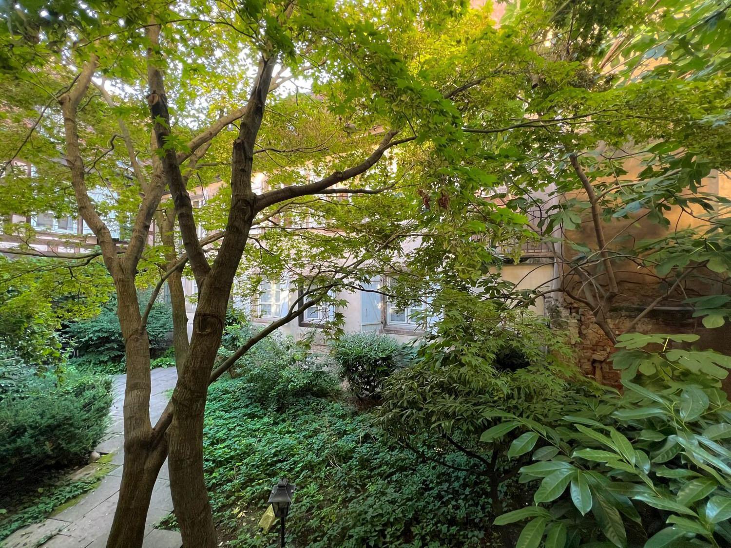 Apartment La Petite Cour - Atypique, Calme Et Cozy