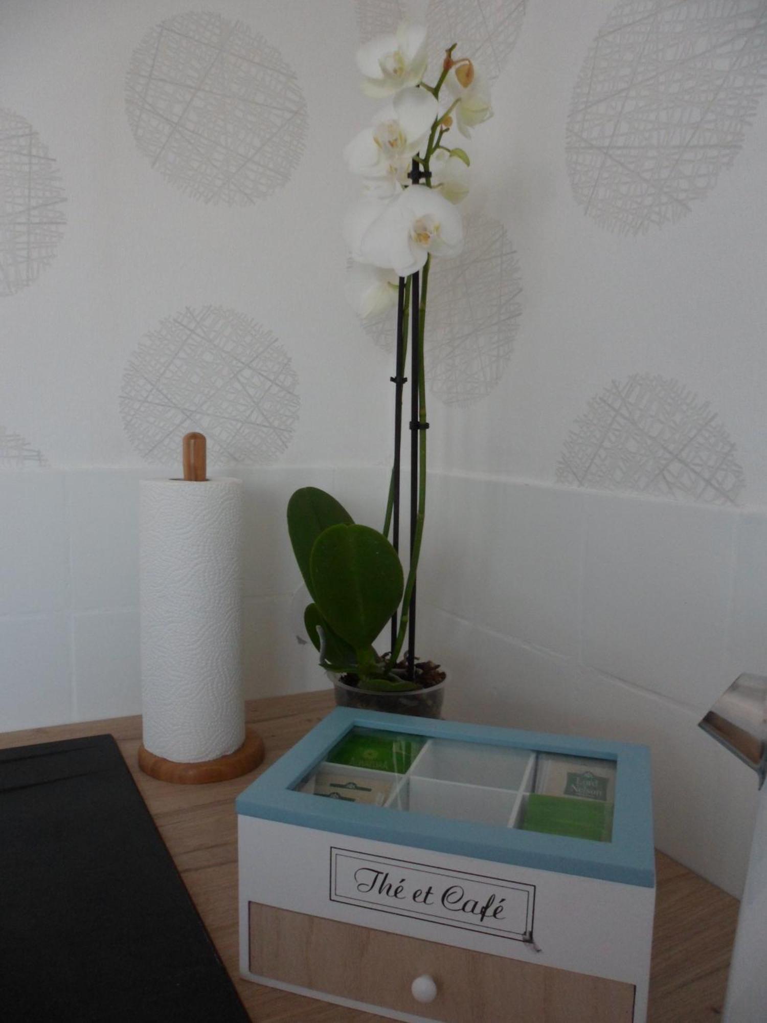 Apartment Le Cosy Strasbourgeois Tram A 2' Et Gare Ou Chu Hautepierre A 5' *