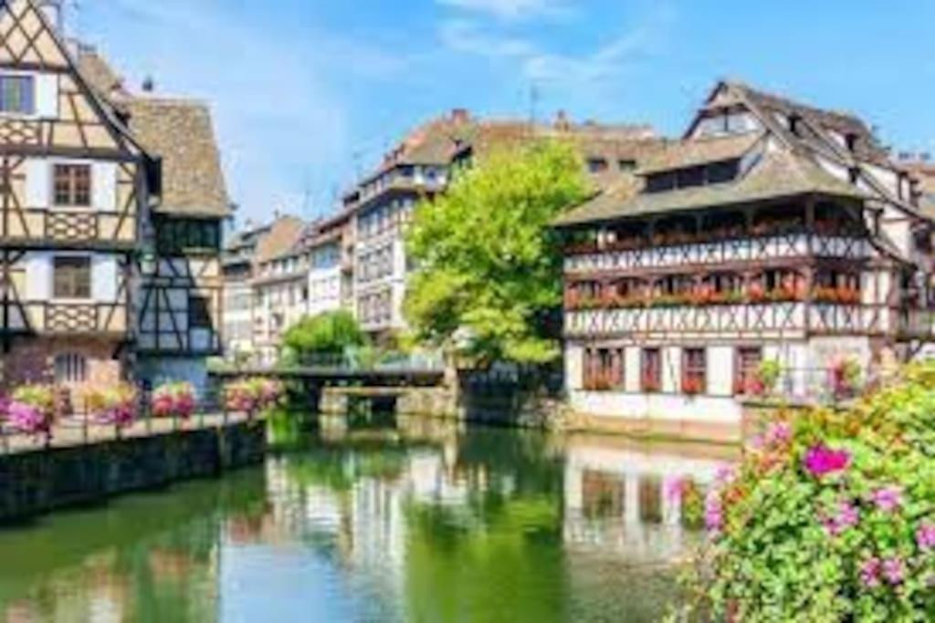 Near The Magic 6 Persons Apartment, 5-minute Walk To Christmas Market! Estrasburgo